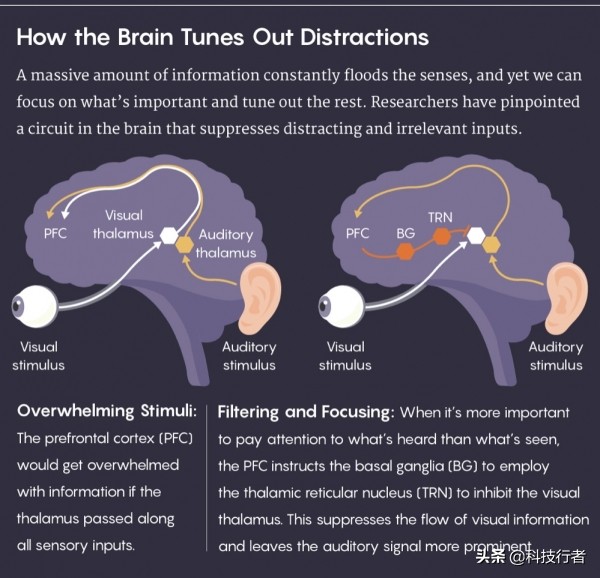 一定要集中注意力(人类集中注意力的真相：大脑在过滤，而非聚焦)