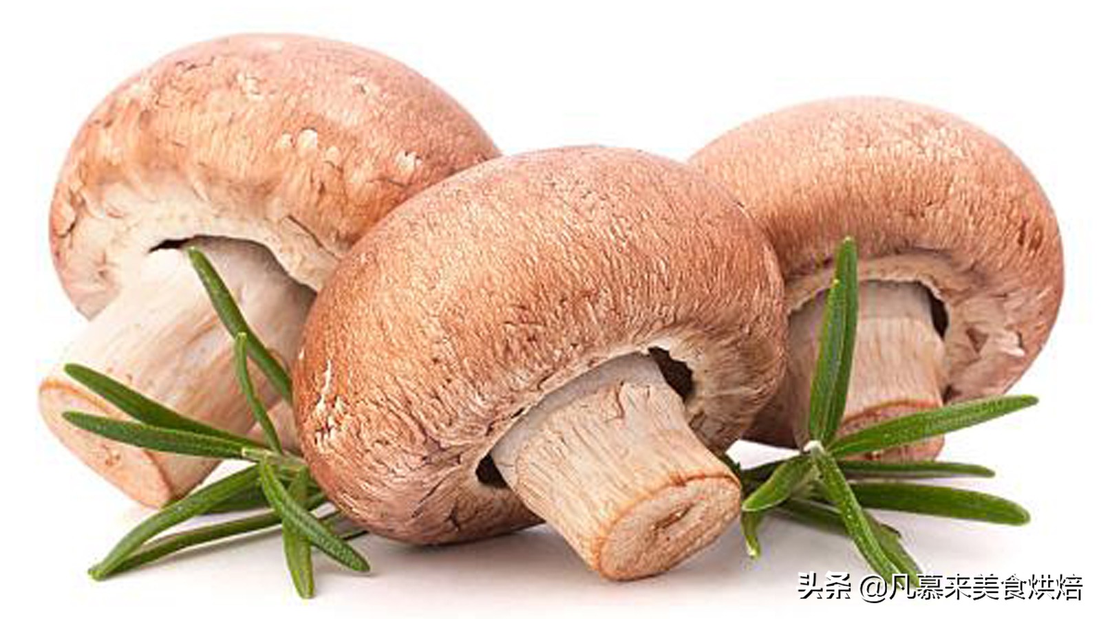 唐山走亲访友、回老家带什么礼物好？54种唐山各县市土特产大全