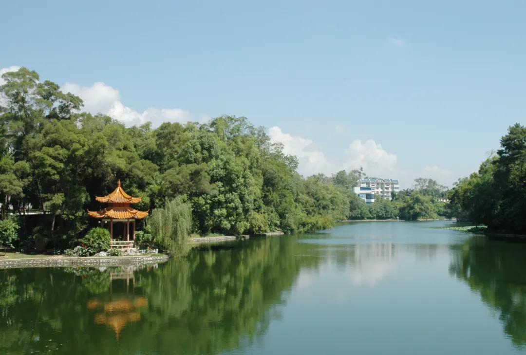 广西民族大学考研丨民族学考研难度、参考书、研招情况全面解读