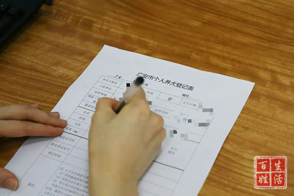 狗证怎么办理,狗证怎么办理多少钱