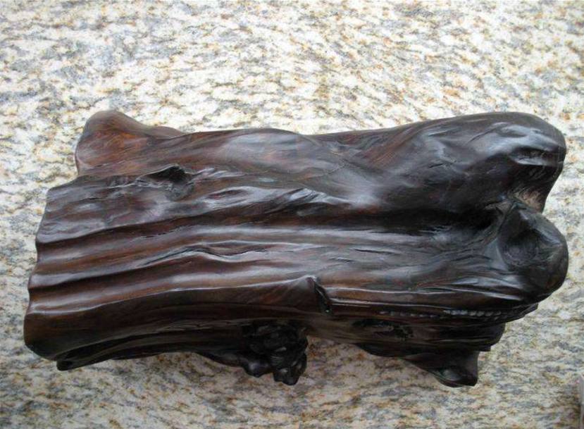 树木名称大全「各种树的图片及名称」