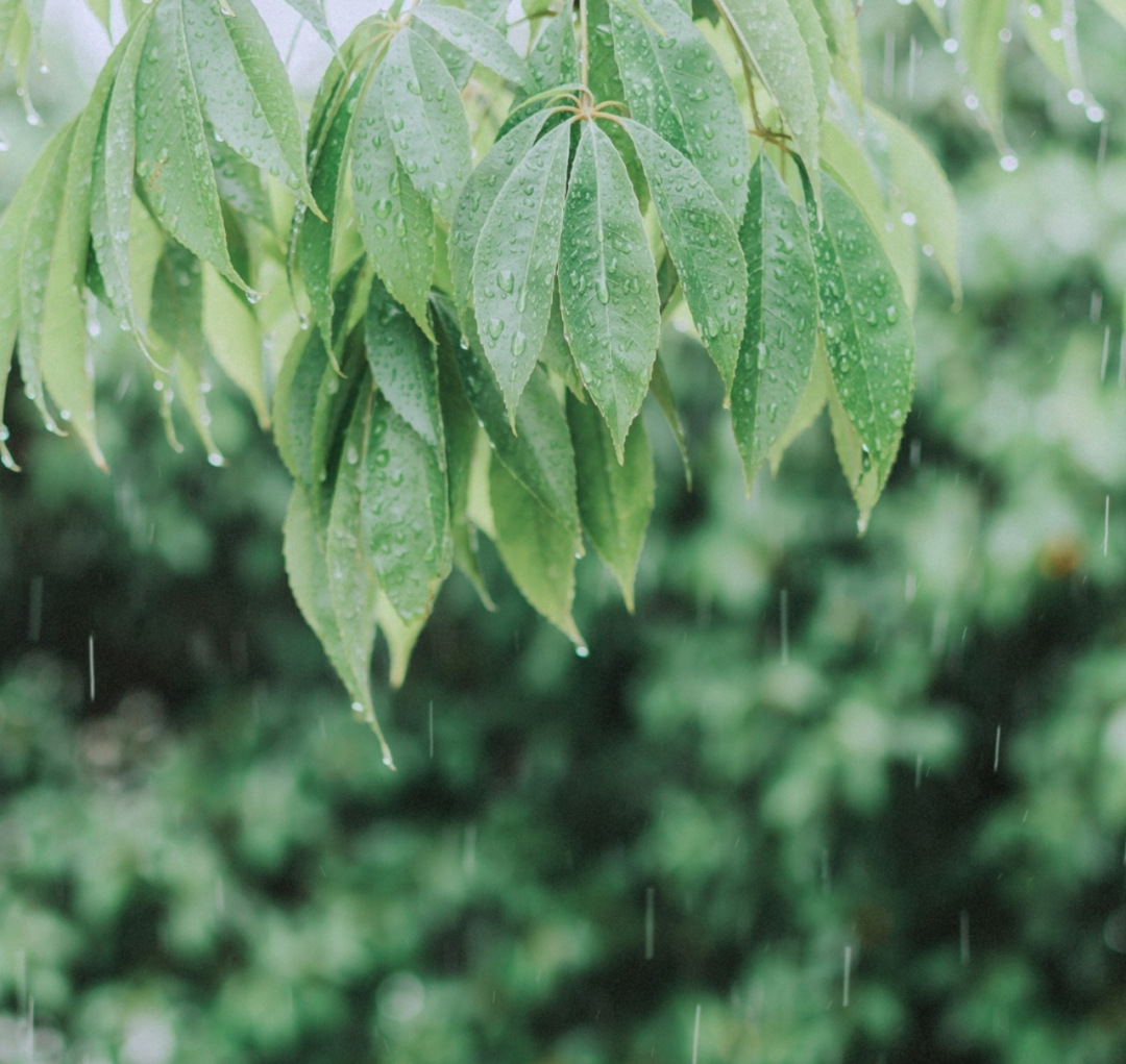 「诗词鉴赏」7月，阳光正好，​十首暑中的诗词，开启新的征程