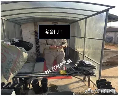 复产前生物安全不升级等于白养，奎哥教你硬件软件两手升级