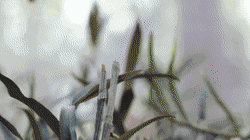 挖个坑，埋点土，秋后抬回两千万！蜂农中的绝命毒师