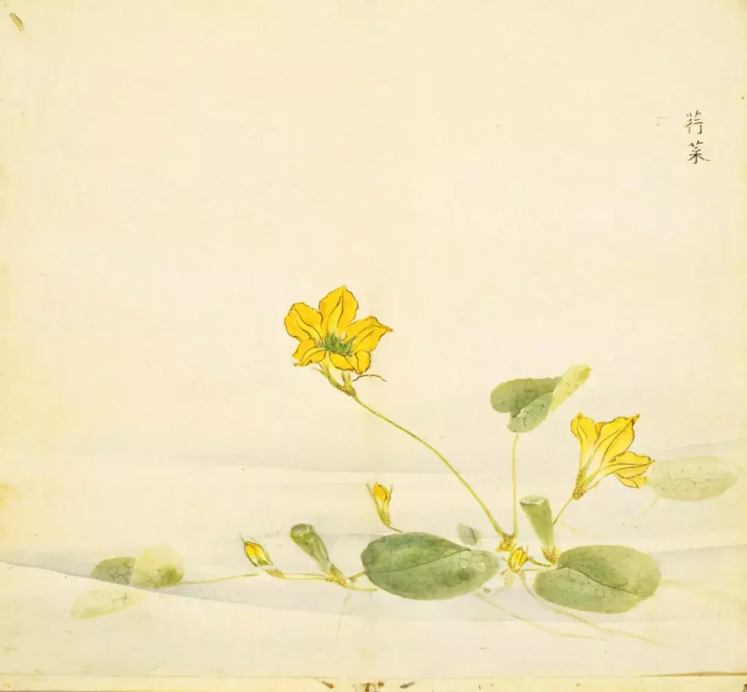 阅读的艺术 | 一生熟读几本书…