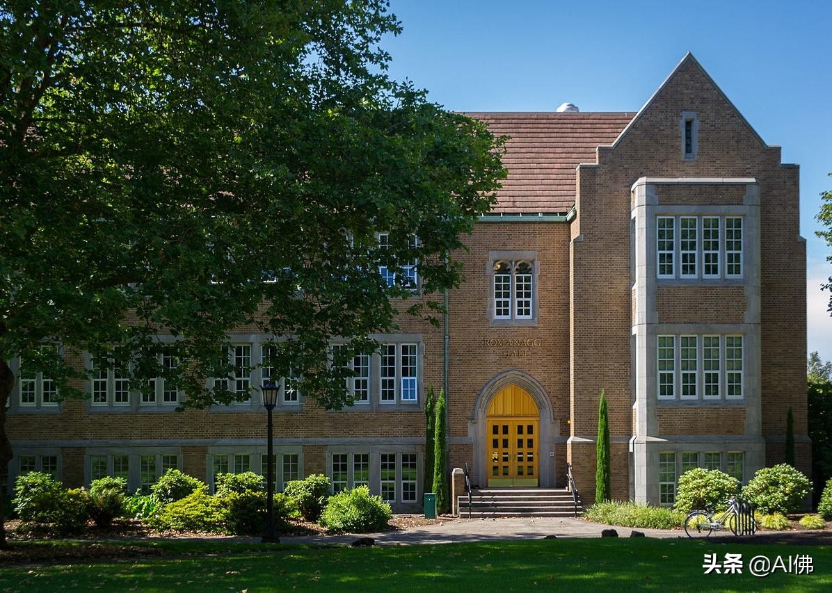 美国50所在大城市的最好大学