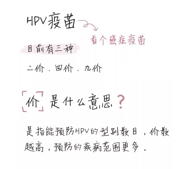 四价价格一览表（刷新你对HPV疫苗的认知）