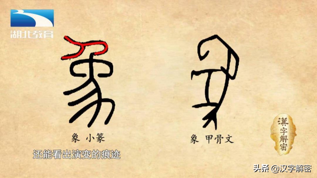 小篆将甲骨文字形中大象的长鼻的形象写成了人形,基本看不出是大象了