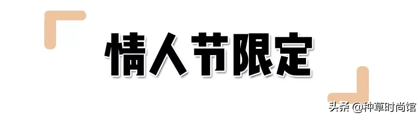 8款情人节礼物！太太太太甜了