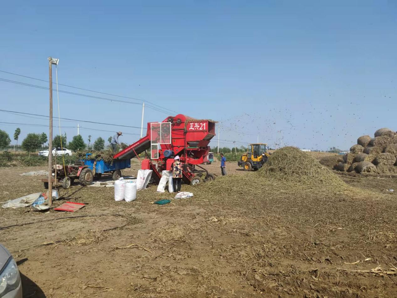 秋收正当时，韩寨镇保粮增收战正酣