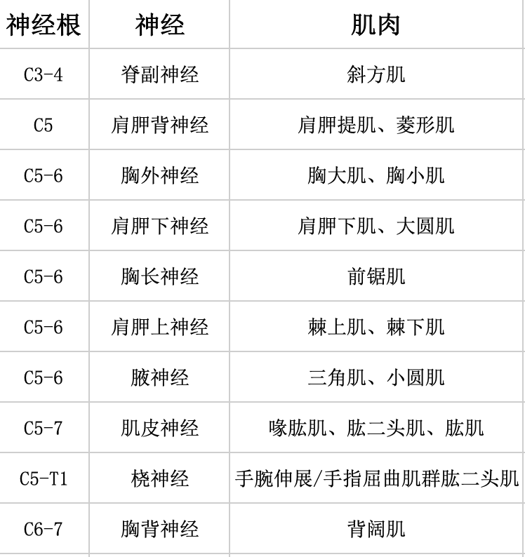 骨科常用数据，你都记得吗？