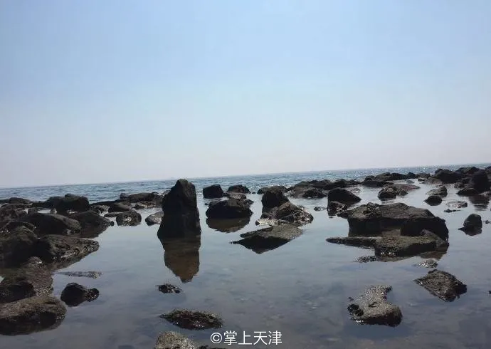 赶海拾贝挖蛤蜊，天津这些地儿你都去过吗？