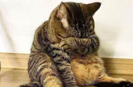 其实哭声背后可能是健康警告