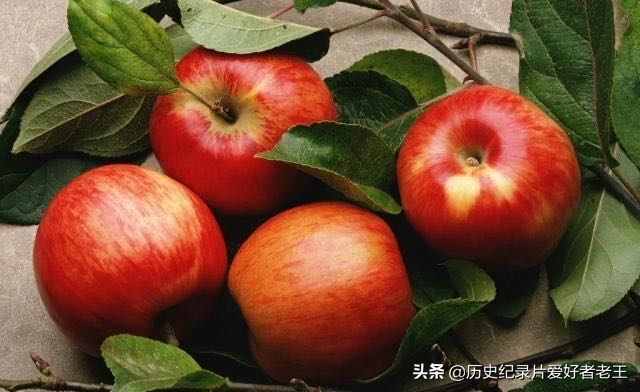 如今常见的水果之一——苹果的身世起源如何，揭秘苹果背后的历史