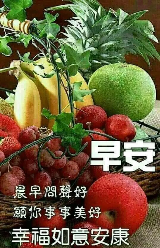 人生相遇，无言心温暖；真诚友谊，不语心相知，早安