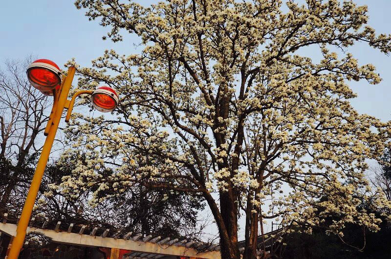 安庆成绩斐然五所高中，一本上线率相当高，值得中考生和家长关注