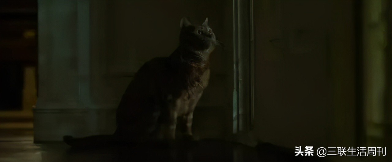 14岁少女杀害母亲后藏尸，看似“幸福”的农村家庭背后，有令人捉摸不透的仇恨