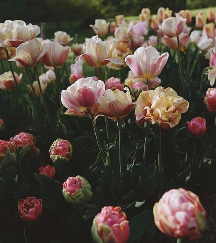 关于对亲人思念祈福的句子！