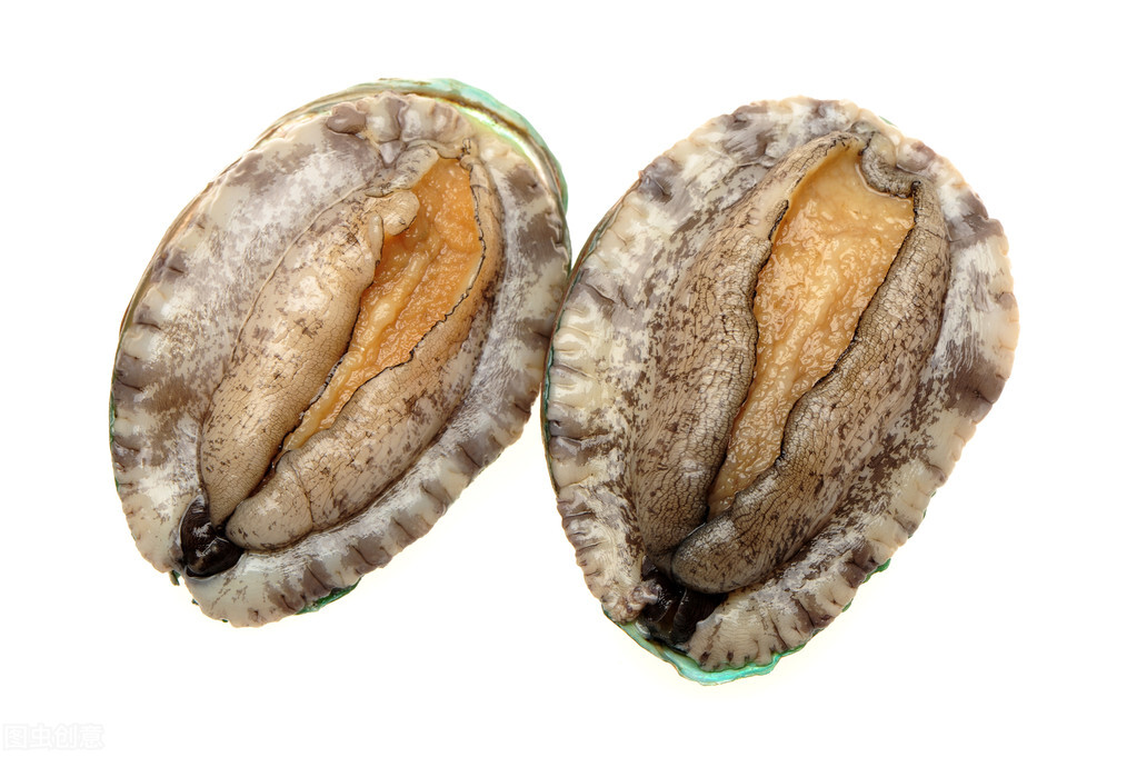 鲍鱼是杀了冷冻还是直接冷冻