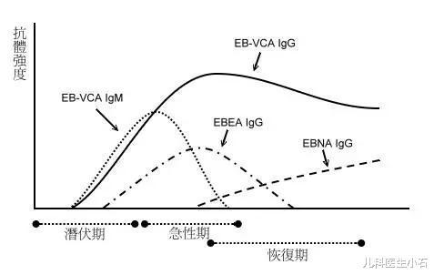 eb病毒如何治疗(EB病毒感染是什么？严重吗？)