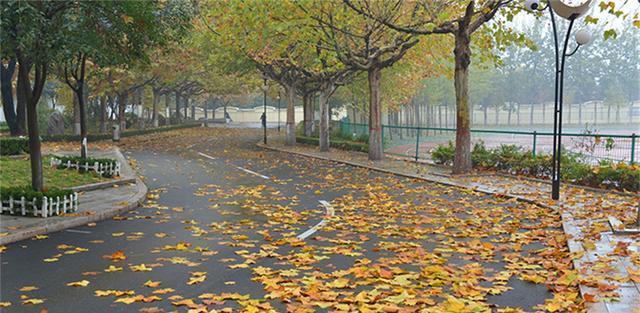 潍坊最好的5所高中，2020年高考9人进入省前50，还有一名是省状元