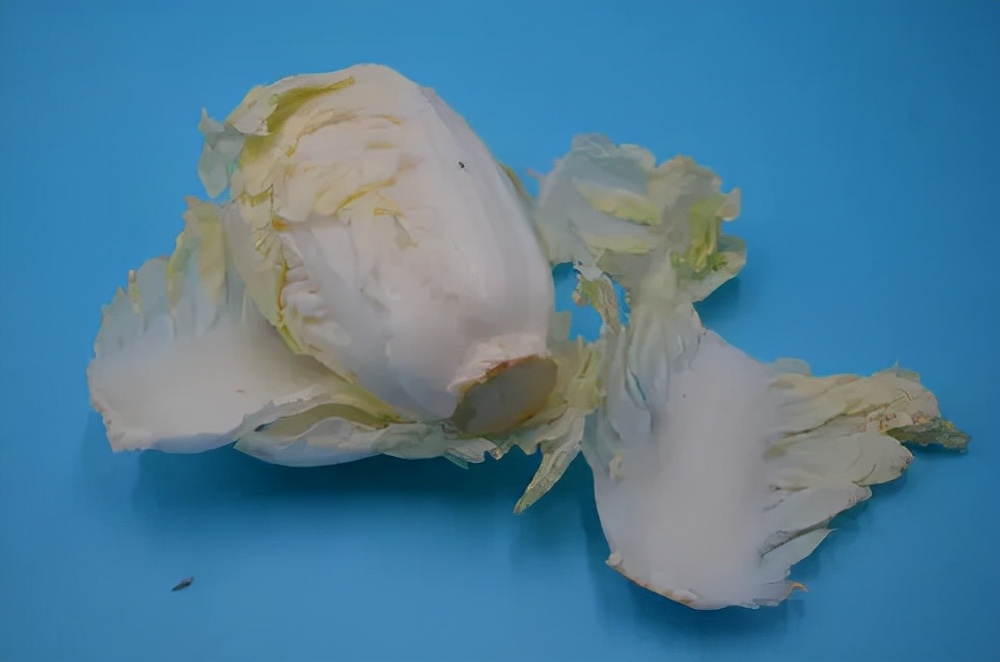 只要大白菜上有黑点的，都不能吃，要转给家人朋友？不妨看看真相