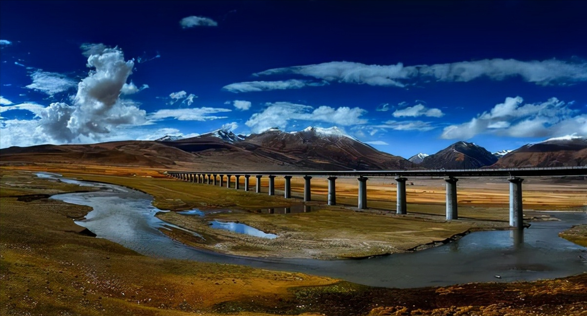 专科毕业生没有前途？选择这几个专业的专科生，就业不比本科差