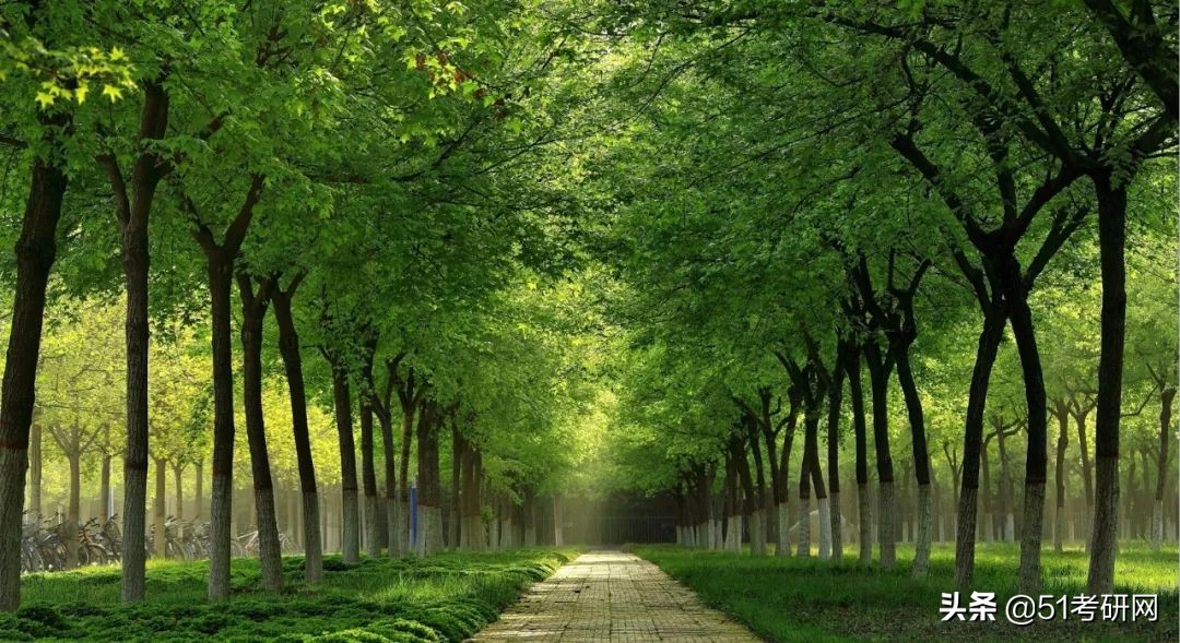 考研看过来，最近上热搜的这所985，说它最好考，没人不同意吧