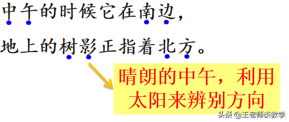 如果你在野外迷了路(二年级语文下册《要是你在野外迷了路》学案 练习题，快收藏吧！)