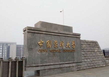 中国药科大学是211吗（中国药科大学和中国医科大学）