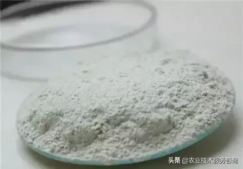 芸苔素的作用和功效（芸苔素三大作用和三大误解）