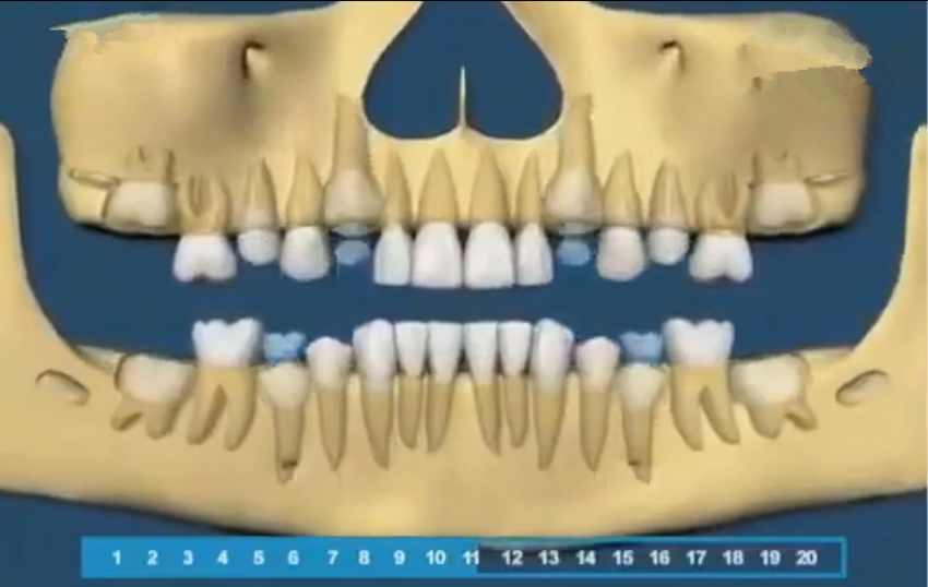 组图带你了解宝宝的牙齿生长顺序，一目了然，父母再也不用纠结了