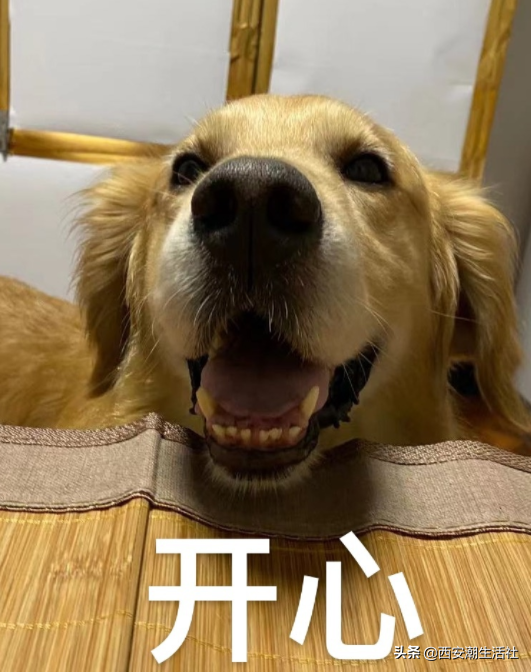 全運會男籃賽程時間（激動！全運會籃球賽程公布！快來看看你喜歡的球隊哪天比賽？）