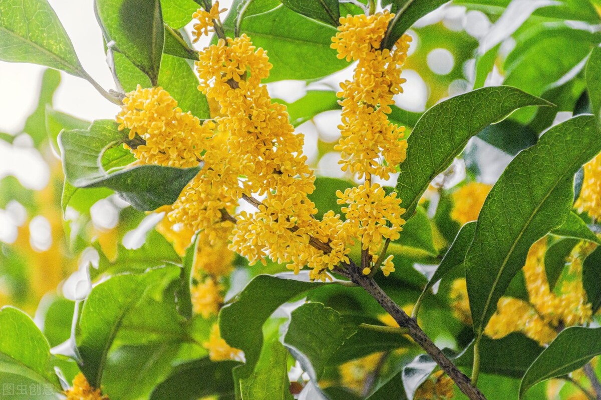 浙江工商大学分数线（2021浙江工商大学东北三省录取分数）