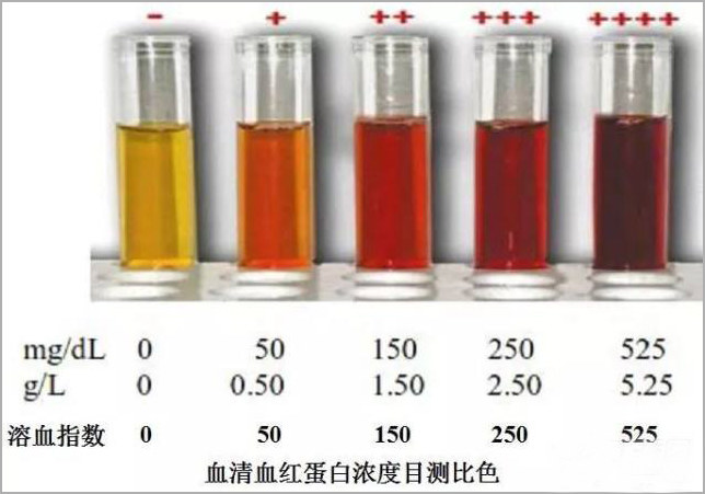 医检互认丨求医路上，想少做几项重复检查有多难