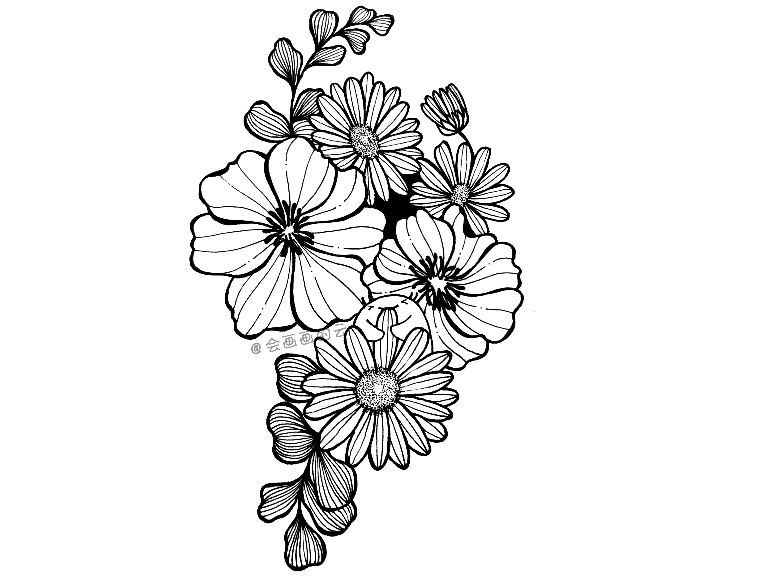 简笔画教程,跟着小云画线描,简单又容易