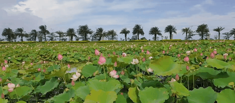 珠海科技学院2021年31个省市招本科生7060人 新增4个招生专业