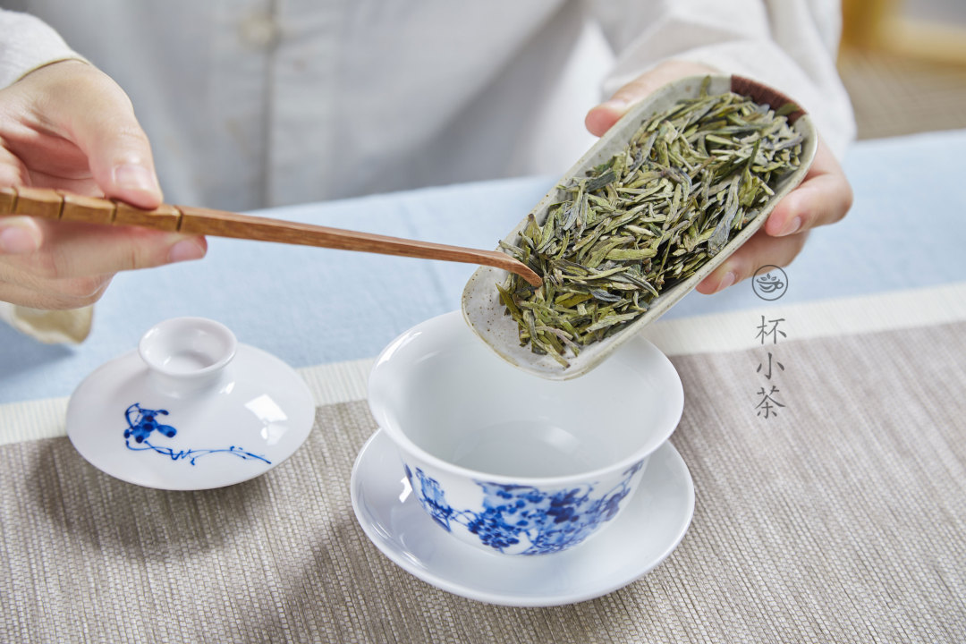 没有电子秤，可以这么“量”茶叶