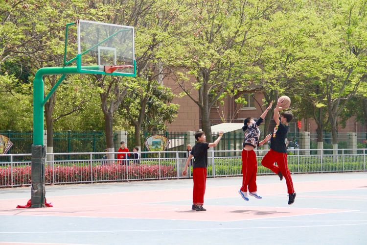 开发区实验学校：美矣美矣，开实芬芳“桃李”