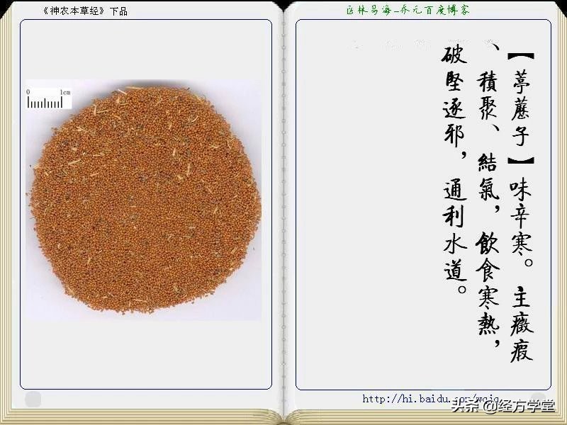 《神农本草经》全册图文解析 建议收藏