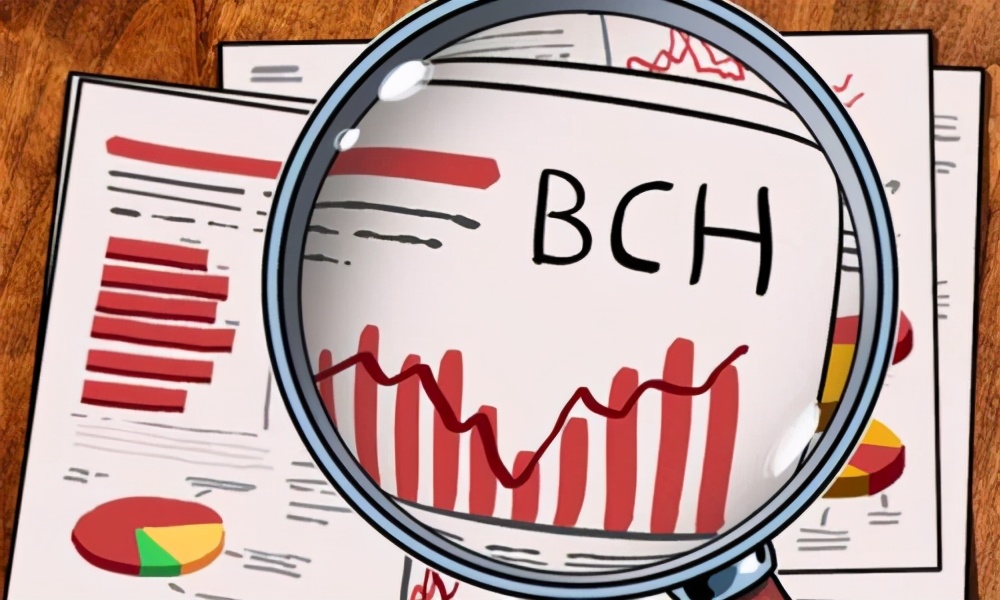 分叉后的BCH共识在哪里，有没有投资潜力？