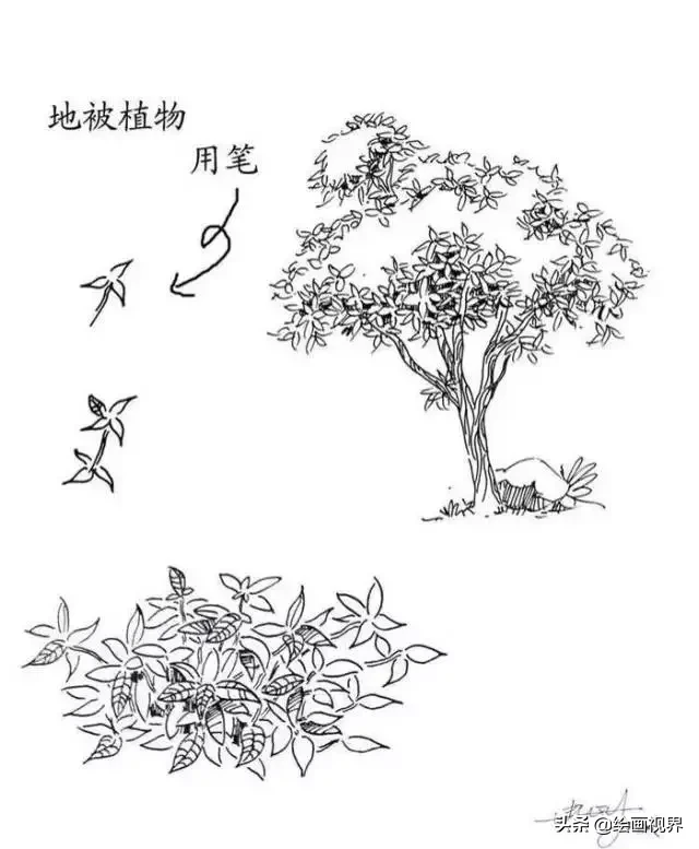 干货！教你15种速写植物配景画法，简单易学，学会画速写很简单
