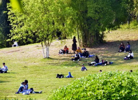 大学寝室“内幕”多，有人喜欢有人招人烦，遇到这4种室友绕道走