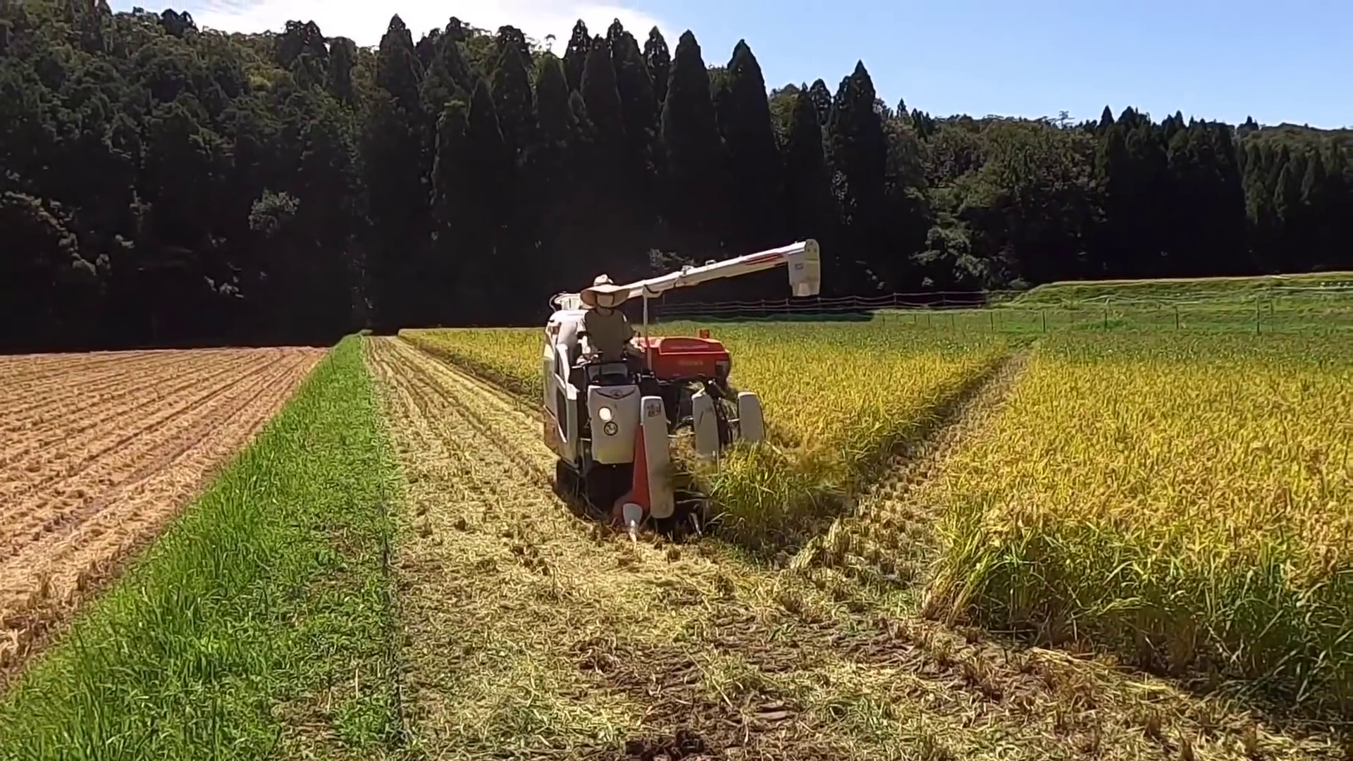 久保田230收割機，3.47米長的小型收割機，怎么樣？