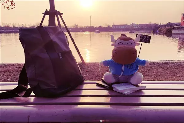 定了!19年初级会计准考证打印时间公布!这7种人拿不到准考证!