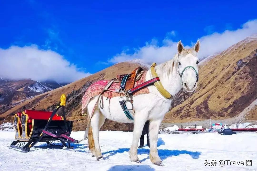 乌鲁木齐最好最大最便宜的滑雪场(2020年滑雪场全图鉴指南（内附攻略）)