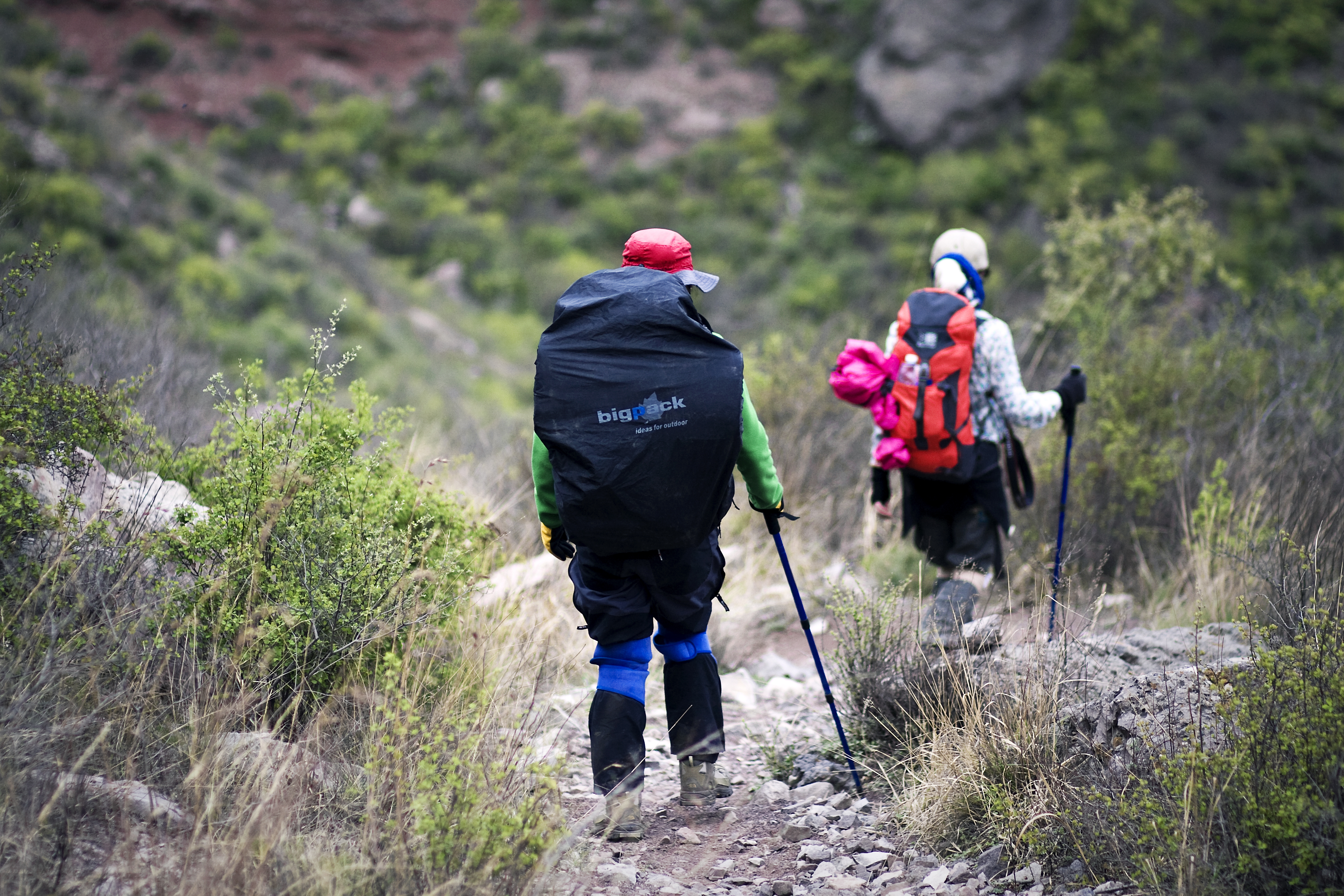 用手表辨别方向(用手表辨别方向原理) - 风集网