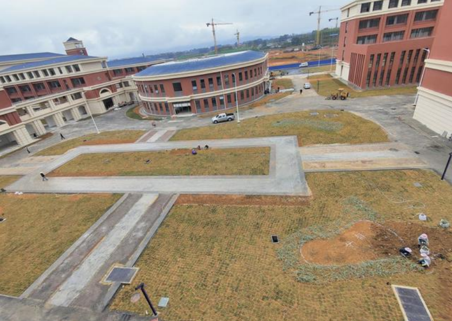 理想的大学和现实的大学，差距不止一星半点，入学欲望即刻消失