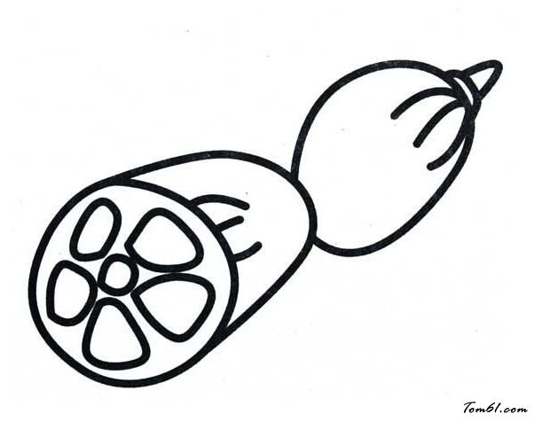 藕与莼菜读后感40字「藕与莼菜读后感」