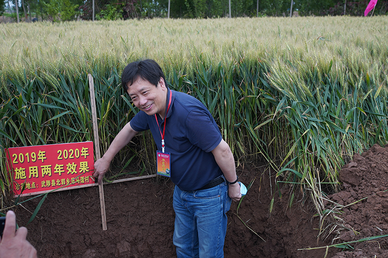 解決土壤問題為啥要用土壤調(diào)理劑，聽聽專家怎么說？